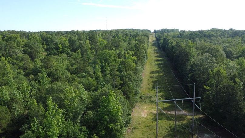 DJI_0275