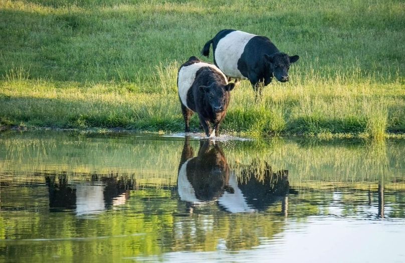 DJI_20250912004716_0392_D