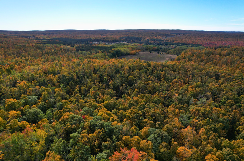 Screenshot 2025-10-29 at 11.31.24 AM