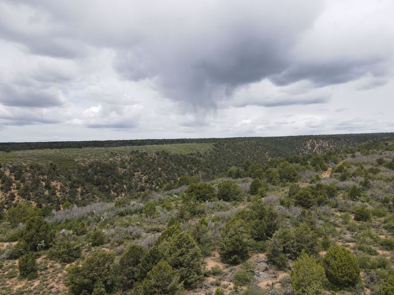 dji_export_1685968222632