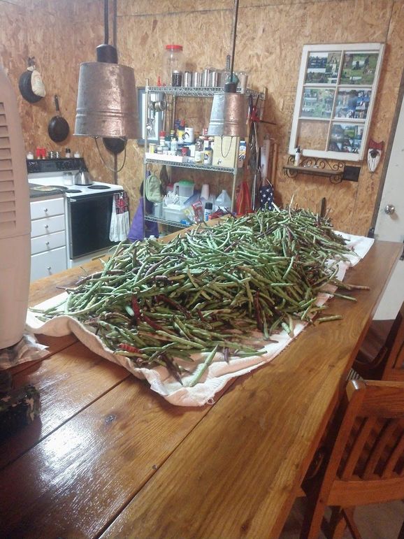 IMG_20200716_105330298