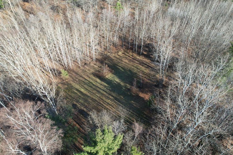 dji_fly_20231113_100912_290_1699892028844_photo