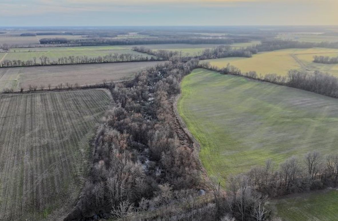 Phillips 8.5 Trahan -01