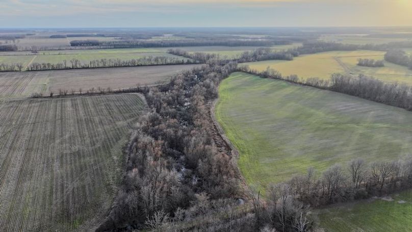 Phillips 8.5 Trahan -01