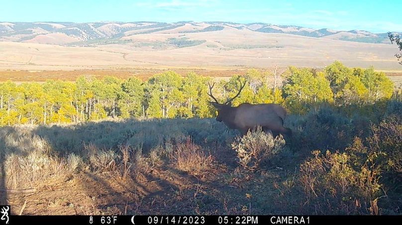 IMG_0059 - frame at 0m0s