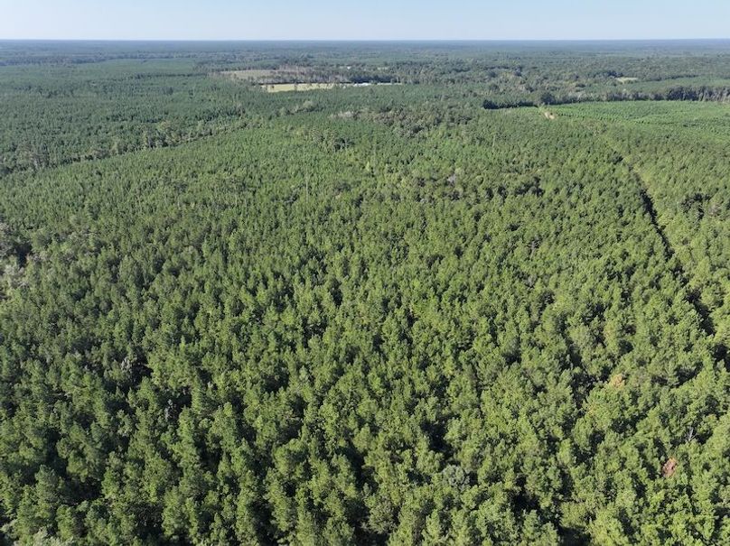 dji_fly_20250908_093930_0418_1757354103042_photo