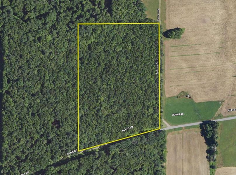 Screen Shot 2023-11-23 at 9.59.46 AM