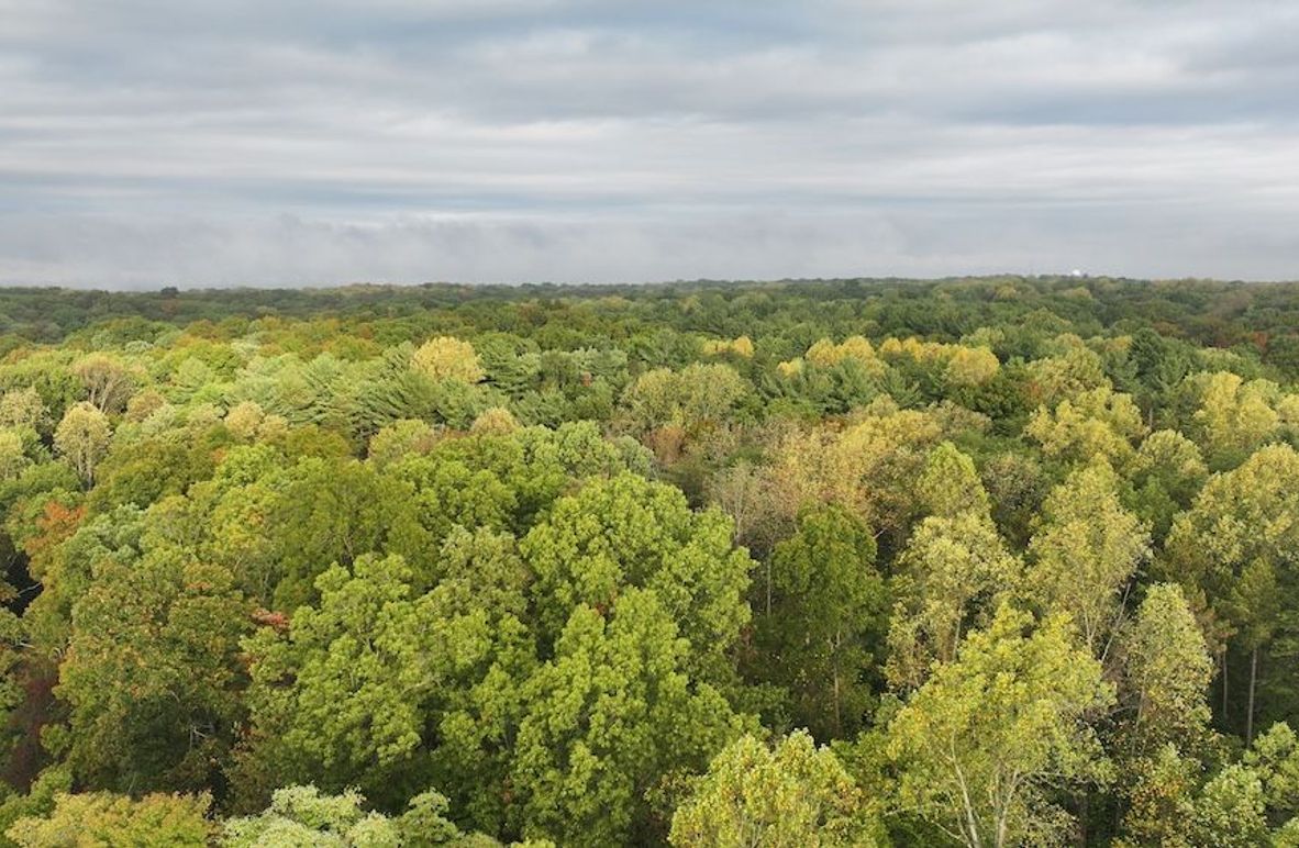 dji_fly_20240925_084202_0466_1727268780804_photo