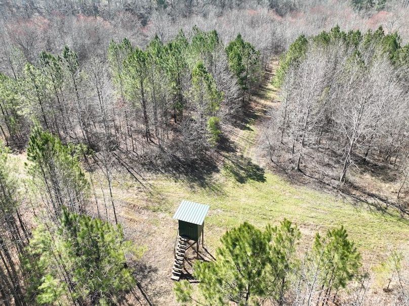 DJI_0961
