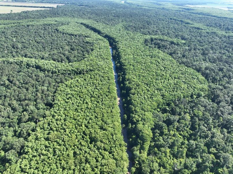 dji_fly_20260513_102252_445_1778687609342_photo
