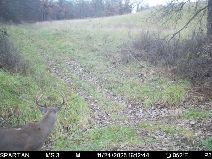 File Nov 24 2025, 5 13 52 PM