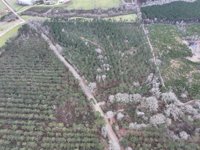 dji_fly_20260217_132418_0107_1771436918947_photo