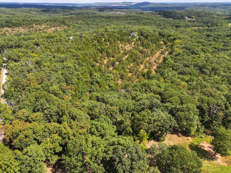 DJI_20250903120703_0549_D Large