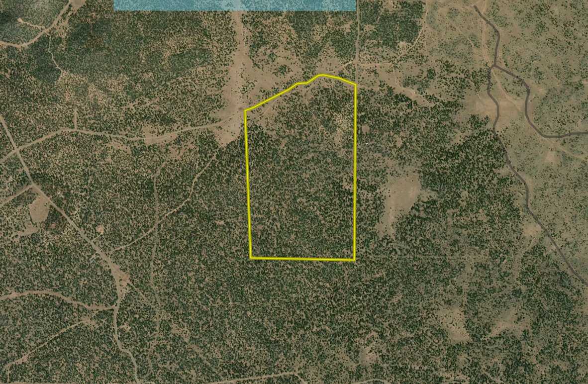 Screenshot 2025-06-08 at 4.53.34 PM