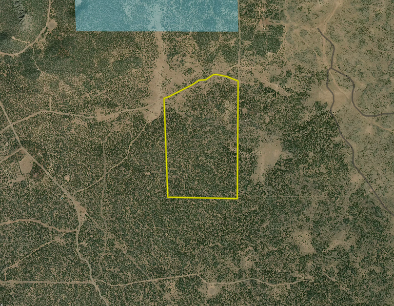 Screenshot 2025-06-08 at 4.53.34 PM