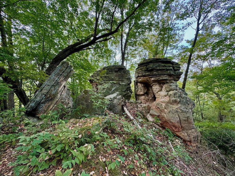 Richland 199Ground - 69