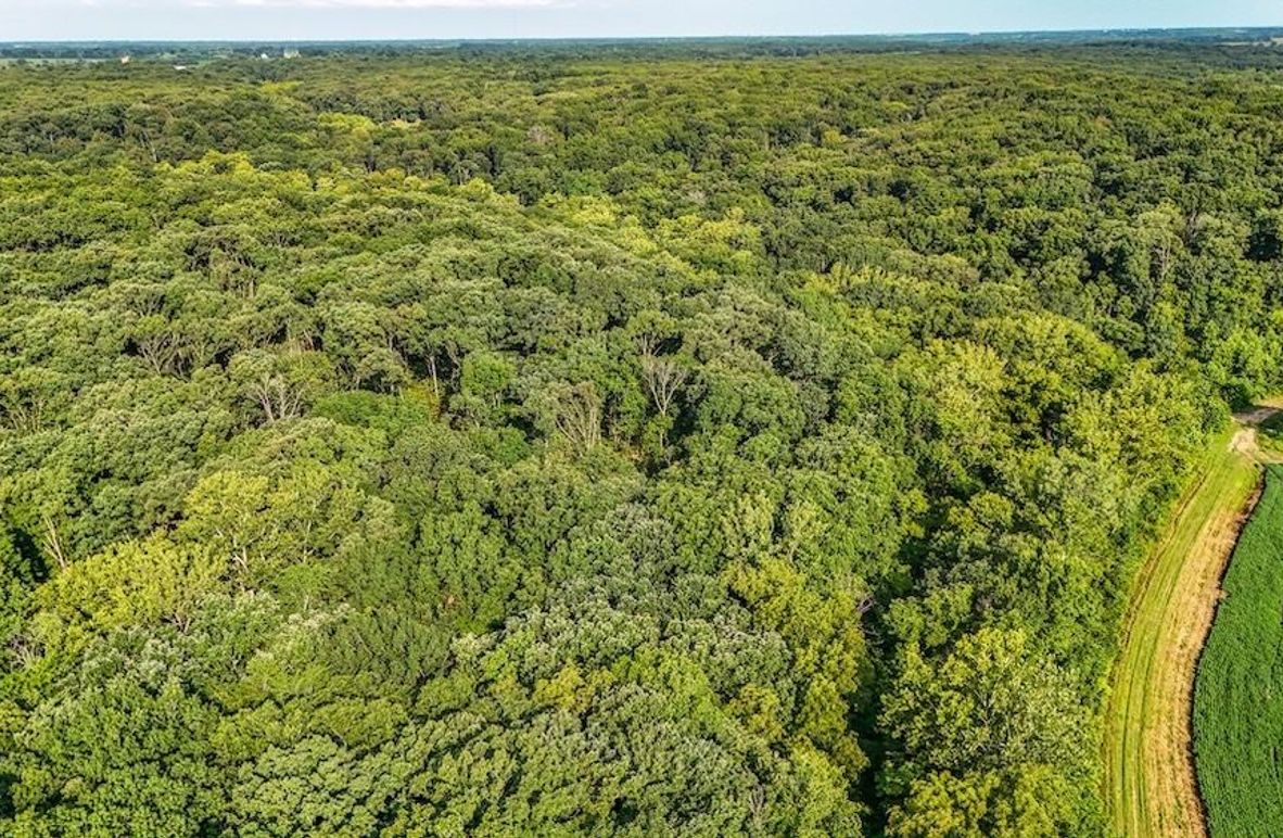 DJI_20250729080149_0093_D