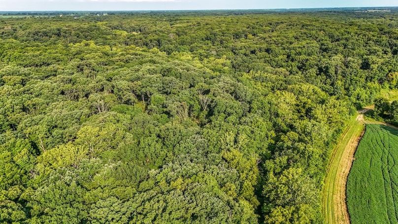 DJI_20250729080149_0093_D