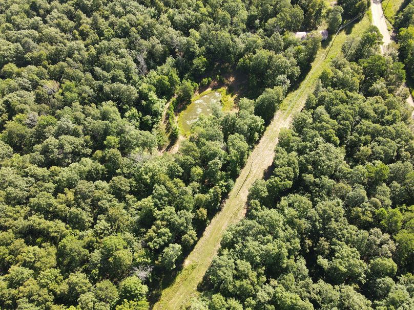 DJI_0964