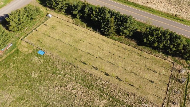 DJI_0265