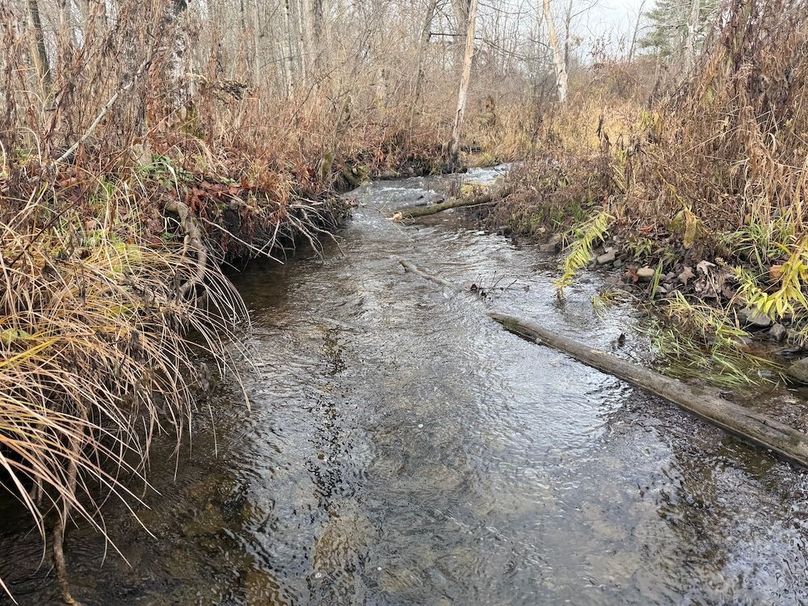 Tompkins_15.15_Galarza Photo 20