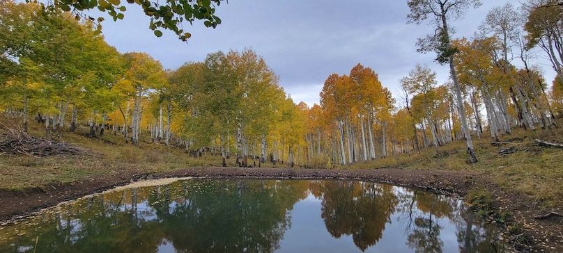 Copy of Mesa, CO 1470 Jerrod Meyer 4