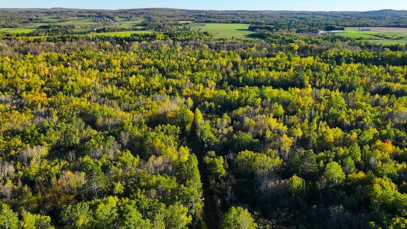 DJI_20251007172653_0079_D