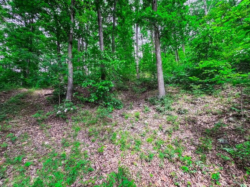 Clay, WV 14.839 AC-03