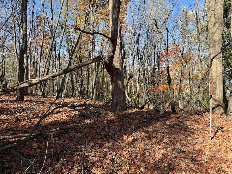 Wayne_18.11_Koehler Photo 22