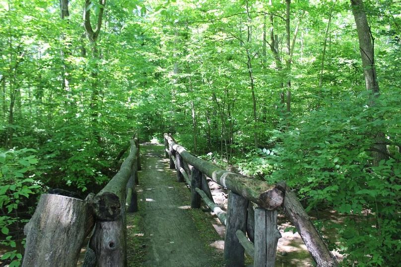 bridge