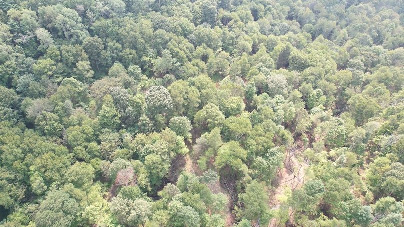 dji_fly_20250806_152004_617_1754528905554_photo