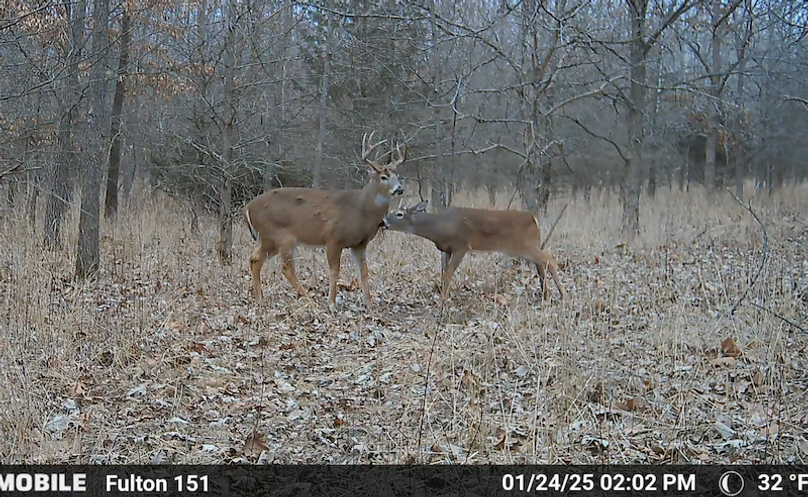 G Screen Shot 2025-07-16 at 12.49.39 AM