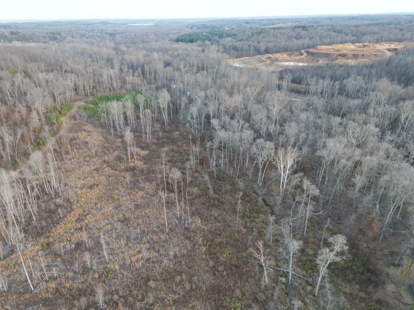 dji_fly_20231130_052330_262_1701905205204_photo