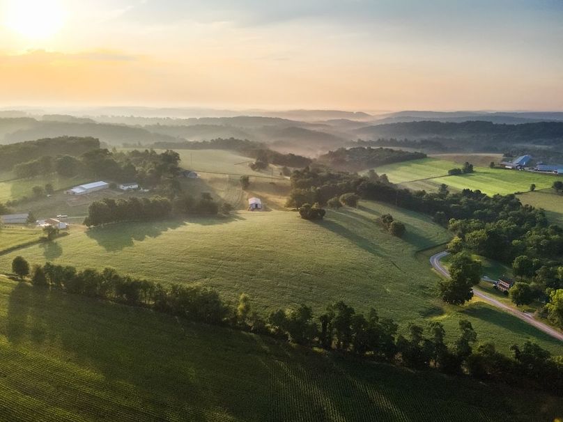 3 York 21.78 Krebs-08