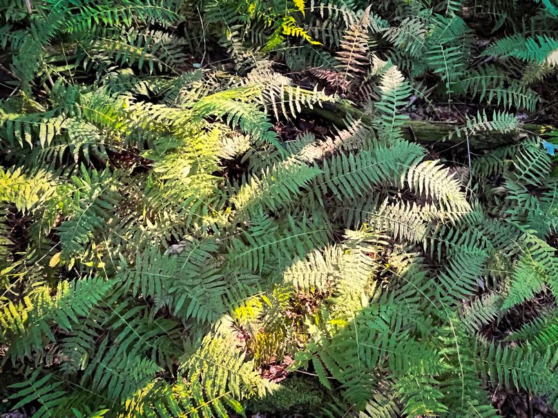 Oswego_30_RouselandInvestments_LLC_Photos_10