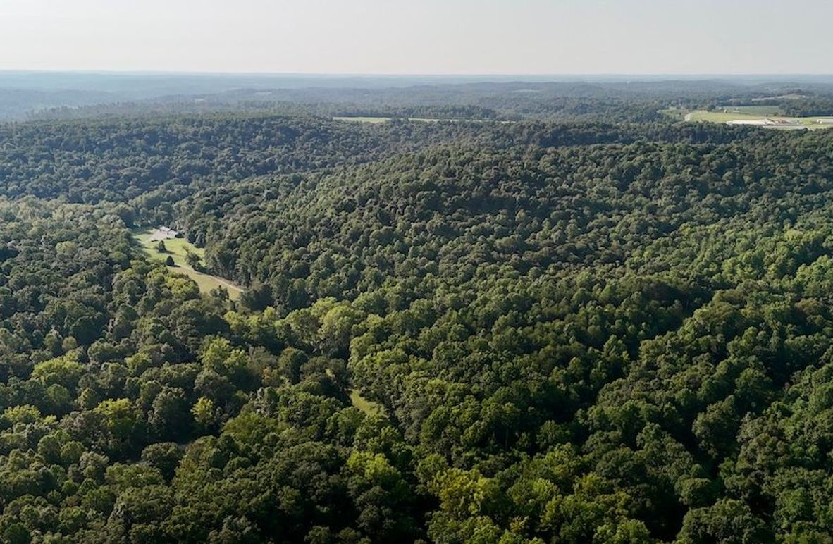 dji_fly_20250819_093212_0581_1755617547177_photo