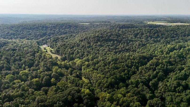 dji_fly_20250819_093212_0581_1755617547177_photo