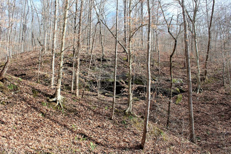 005 one of the many cool rock features on the property