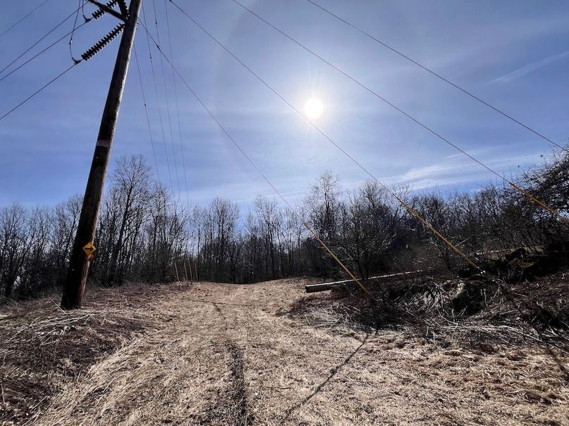 Lewis_26_Somberg Photo 47