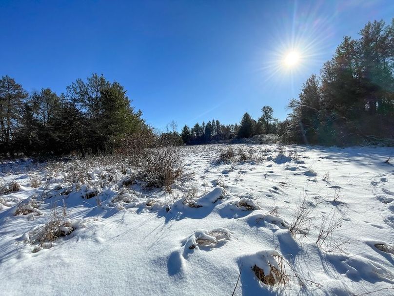 Juneau 105 Cantic -20