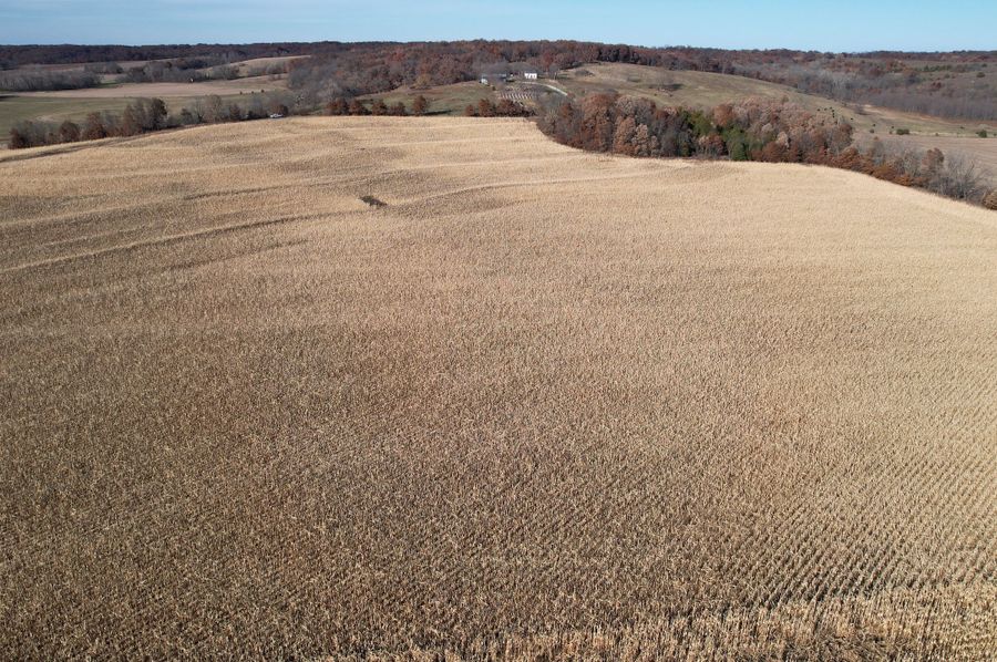 DJI_0973