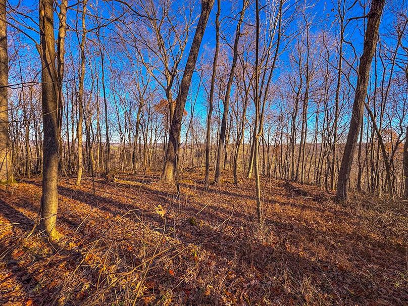 Pleasants_Wood 169.97 AC Cokeley-72