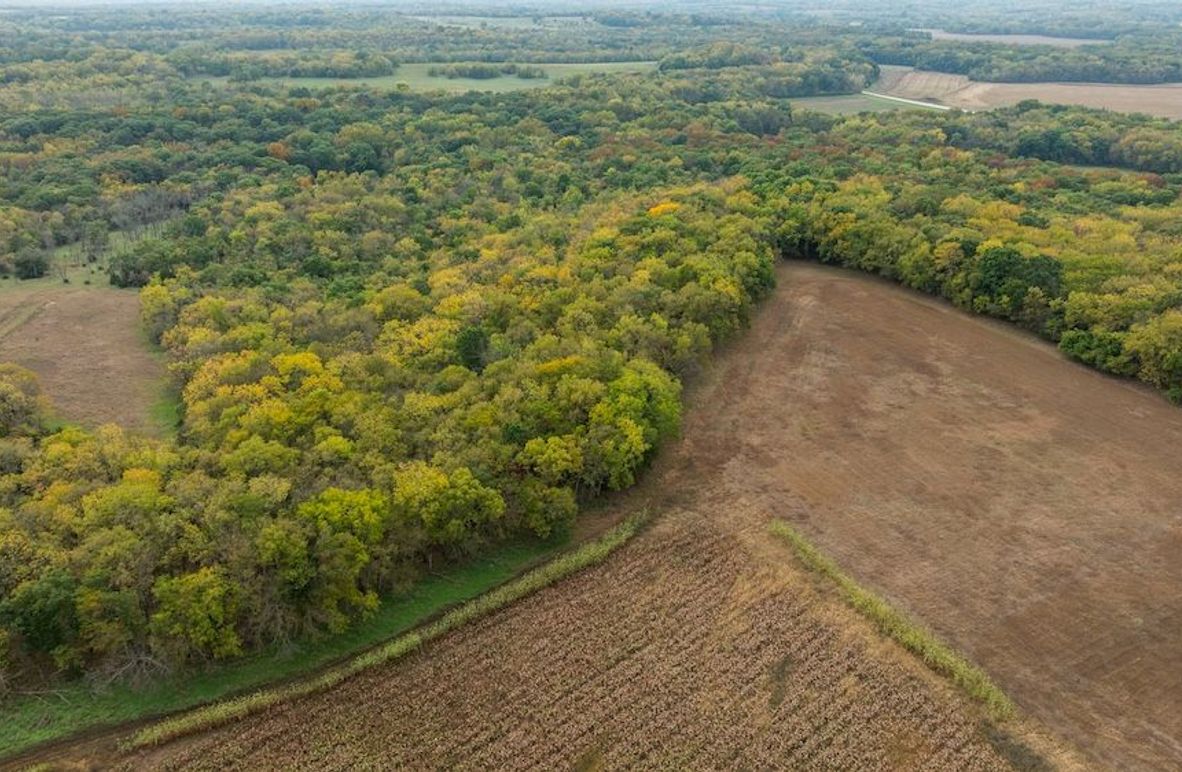 Brad Hand Osage 91--02