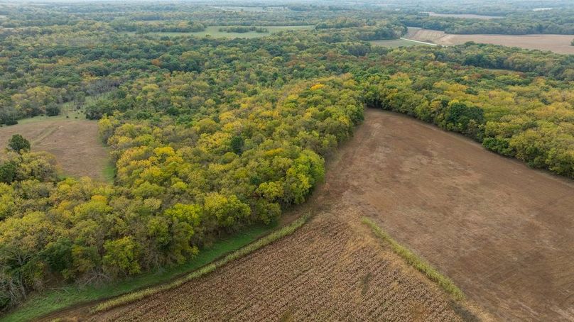 Brad Hand Osage 91--02