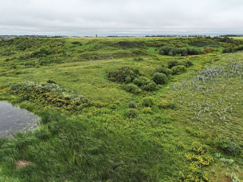 DJI_20250704133743_0615_D