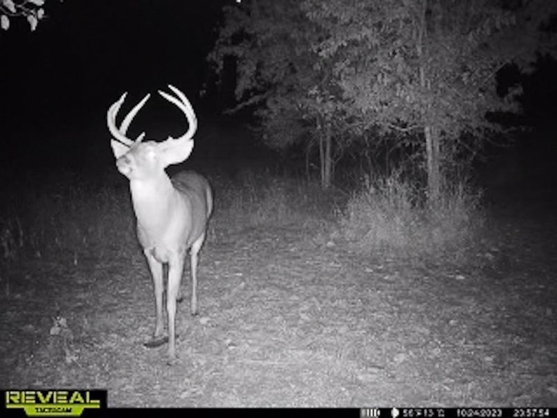 865509050418056-50-4-10242023235821-W1003000