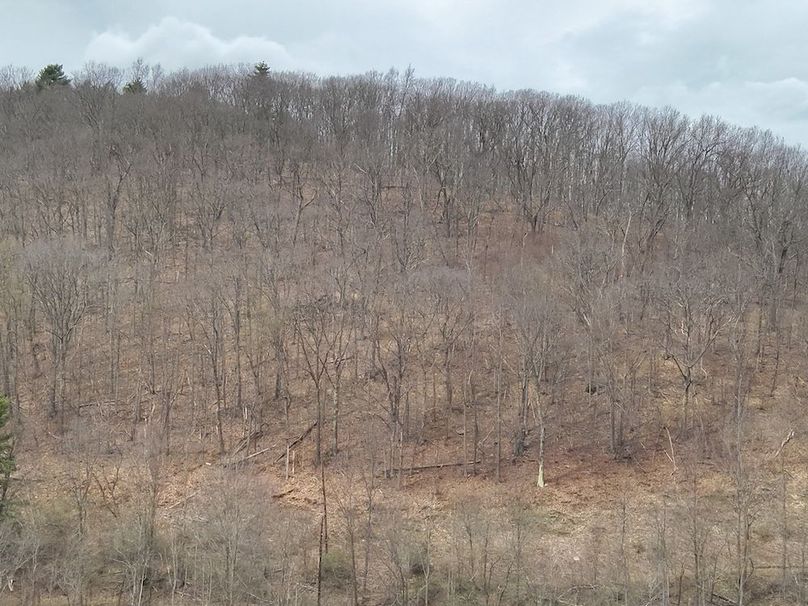 DJI_20260414142719_0009_V