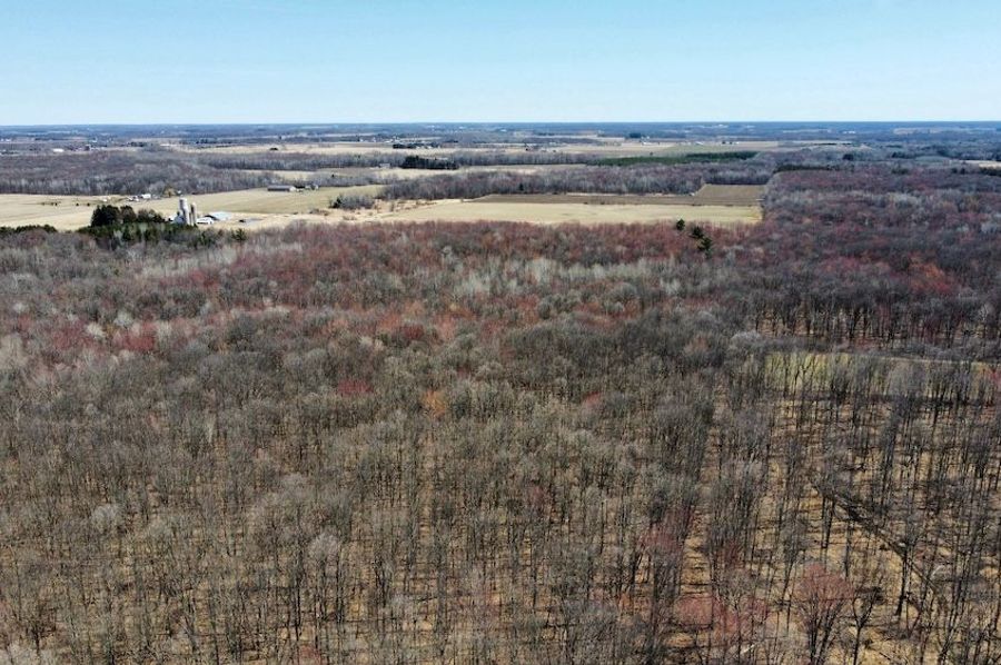 dji_fly_20250416_120832_838_1744914781445_photo_optimized