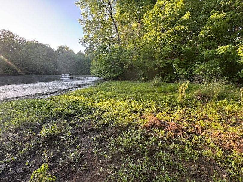 Desoto 8.3 Clement (Final Frontier) -13