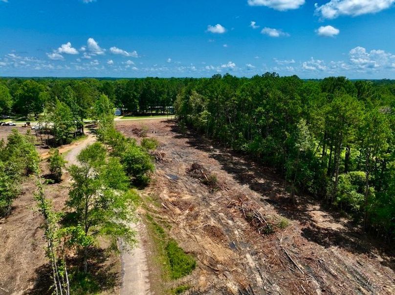 77703005-0F0B-4EFB-8D0D-1A9442236520_1_105_c